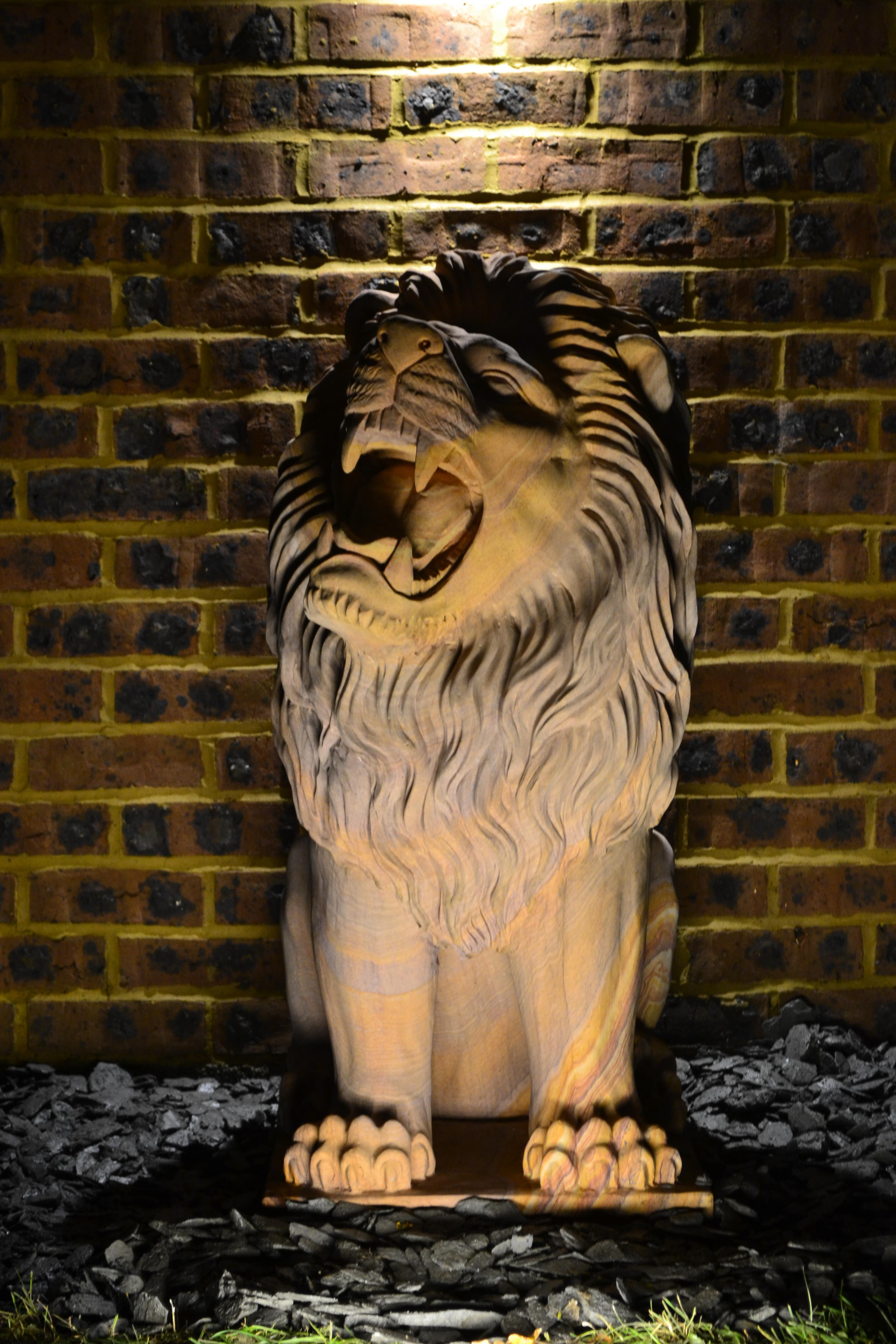 The Lion